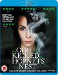 The Girl Who Kicked The Hornets Nest 2009 Dual Audio Hindi 480p FilmyZilla